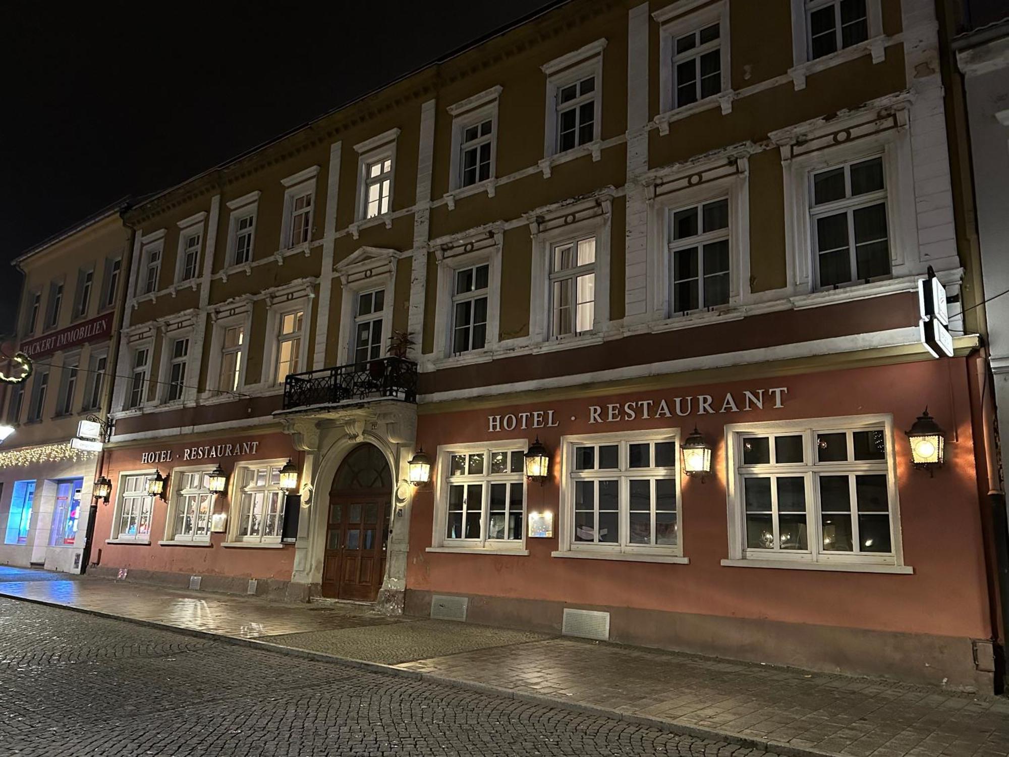 Hotel Sachsenhof Riesa Εξωτερικό φωτογραφία